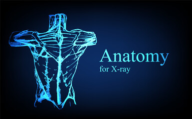 Human anatomy in front on x ray view. Anatomy human body connection, Medical, educational or science banner on futuristic blue background, Vector hand drawn illustration - obrazy, fototapety, plakaty