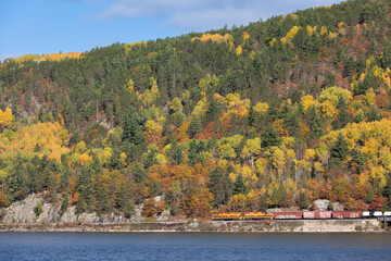 Train Bridge Fall Colours 7