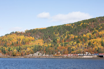 Train Bridge Fall Colours 9