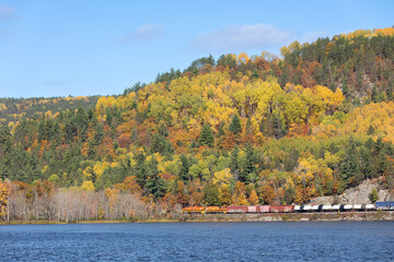 Train Bridge Fall Colours 14