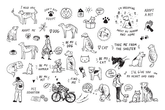 Adopt cat, dog vector line illustrations set.