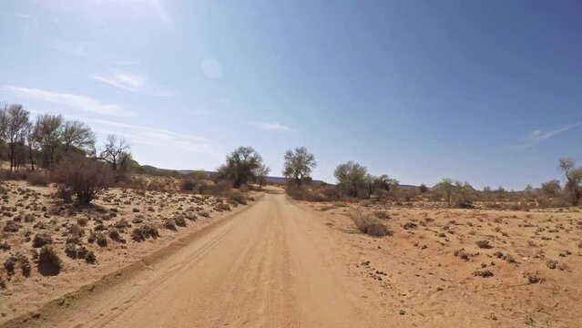 Truck driving, road and africa desert with dirt in speed, game route and adventure with countryside trees. Travel, sunshine and nature with journey on safari holiday, vacation and namibia in summer