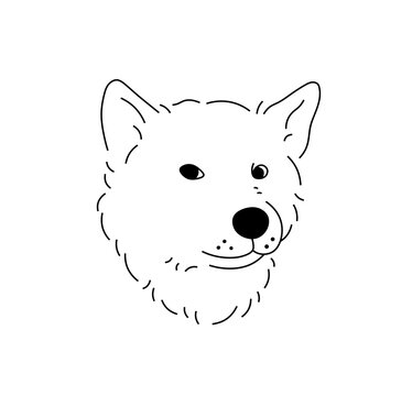 Vector isolated one single dog or wolf head face portrait muzzle front view side view colorless black and white contour line easy drawing