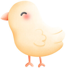 Baby chicken 