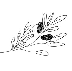 Olive branch hand drawn illustration for your design