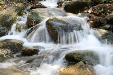Fototapeta na wymiar A tranquil stream cascades gracefully and flows over moss-covered rocks in a serene forest.