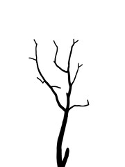 tree silhouette isolated on white, unshaped branches tree art isolated, tropical graphics design, art for creative work.