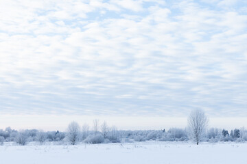 Rural winter landscape with snowy field and bare trees under cloudy blue sky