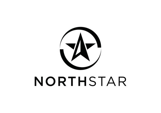 north star logo vector icon illustration. modern style