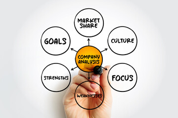 Company Analysis mind map concept for presentations and reports