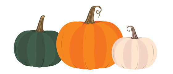 Vector Flat Style Halloween pumpkins Set Isolated on white background minimal style pumpkin icon illustrations Vegetable Fall Farm gardening cooking and halloween holiday concept collection design.