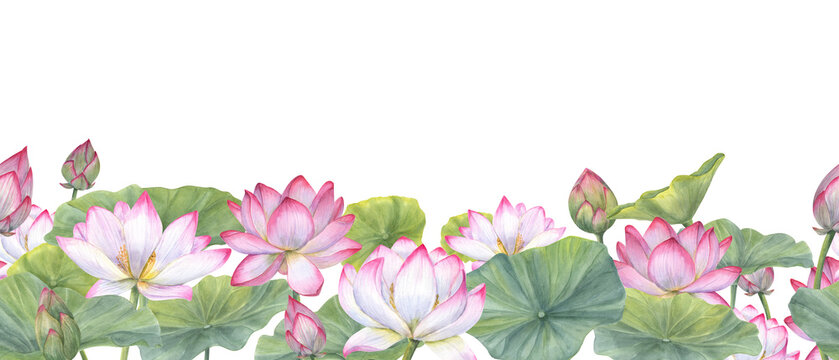 Seamless banner of Indian sacred lotus flowers with leaves. Water lily, Indian lotus, green leaf, bud. Space for text. Watercolor illustration. Horizontal board
