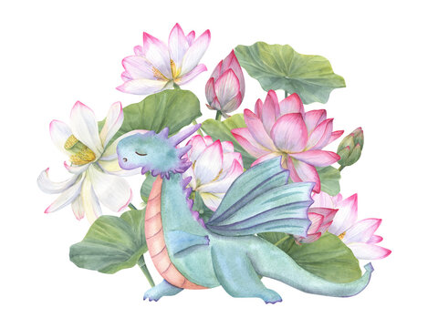 Dragon standing in triangle pose among blooming water lilies. Animal practicing yoga exercises. Floral composition. Realistic lotus flower, leaves. Watercolor illustration for label, greeting