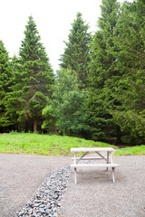 aérea recreativa en un bosque de pinos con una mesa y asiento de madera en el camino