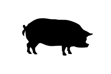 Vector pig silhouette side retro vintage template. Pork animal icon background. Pig farm.