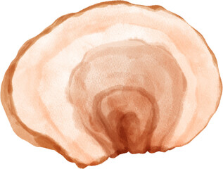 Watercoloe beef sliced