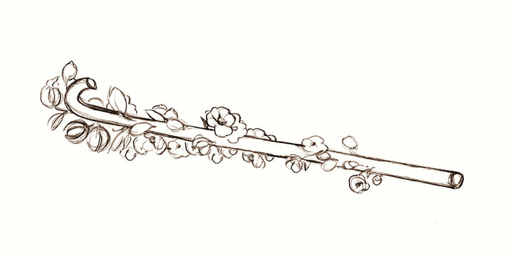 Pencil drawing. Blooming wand with leaves