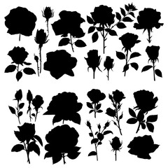 Rose silhouettes