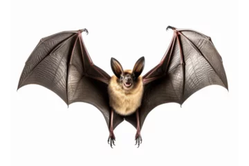 Foto auf Acrylglas brown bat flying, isolated on transparent background  © athlete55