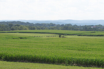 Gettysburg Field