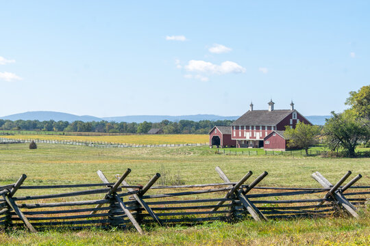landscape with fence