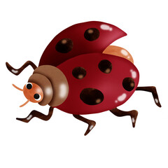 ladybird illustration