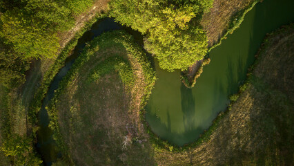 vue aérienne d'un ruisseau traversant la forêt - obrazy, fototapety, plakaty