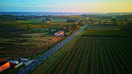 vue aérienne sur une route traversant des vignobles bordelais au levé du soleil