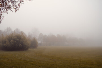 Obraz na płótnie Canvas Autumn Foggy Ingolstadt, Park_ Beautiful Trees