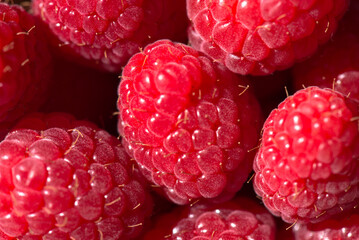 raspberry close up