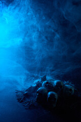 Halloween human skulls in abstract smoke on black background.