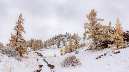 Gorny Altai in autumn, Russia September