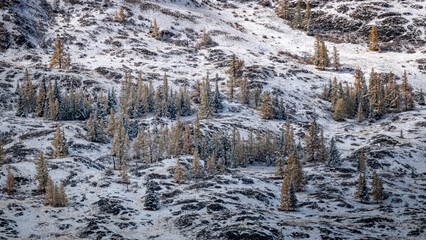 Gorny Altai in autumn, Russia September