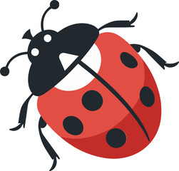 Delights Majesty in Minimalistic Charm Eyes of the Crawling Insect