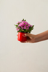 Close em uma mão feminina segurando um bouquet de flores de cor lilás dentro de um copo esmaltado na cor vermelha.