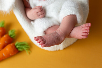 small legs of a newborn on a white background with a carrot