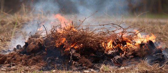 Leftover charred grass and ash residue in the yard