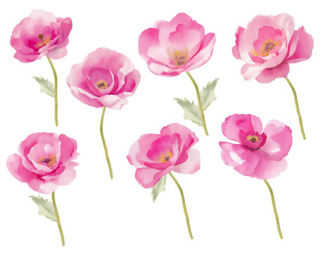 Poppies pink red set isolated on white background. Generative AI, digital art
