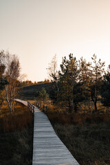 Fototapeta premium Autumn Walk in the Nature