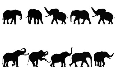 Silhouettes of Elephant Collection 