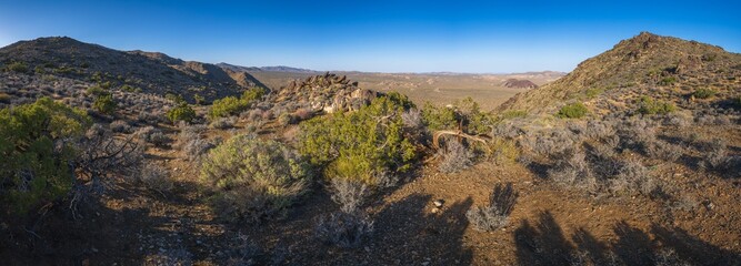 Obraz premium hiking the lost horse mine loop trail in joshua tree national park, california, usa