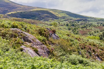 landscape with sky and clouds