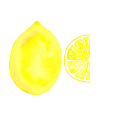 lemon, citrus fruit drawn in watercolor, picture for farm store and market, vegetarian products