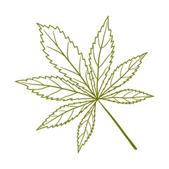 autumn chestnut tree leaf line style art drawn