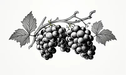 Fotobehang Branch of grapes on a white background. © Andreas