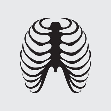 Chest bones vector illustration.