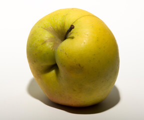 Ugly mutant apple. The fruit is yellow on a white background.