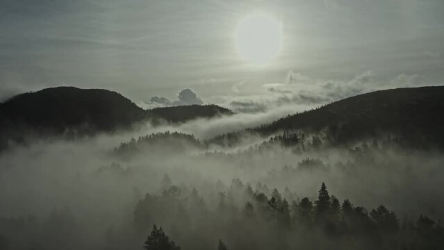 Misty, magic and beautiful morning in the mountains. Aerial.