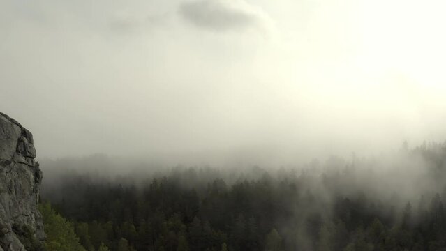 Magical aerial shot of a forest covered in mist.