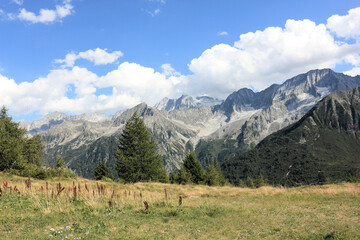 Fototapeta na wymiar Landscape with fields and mountains in the Italian Alps, under a brilliant sunny an cluody sky